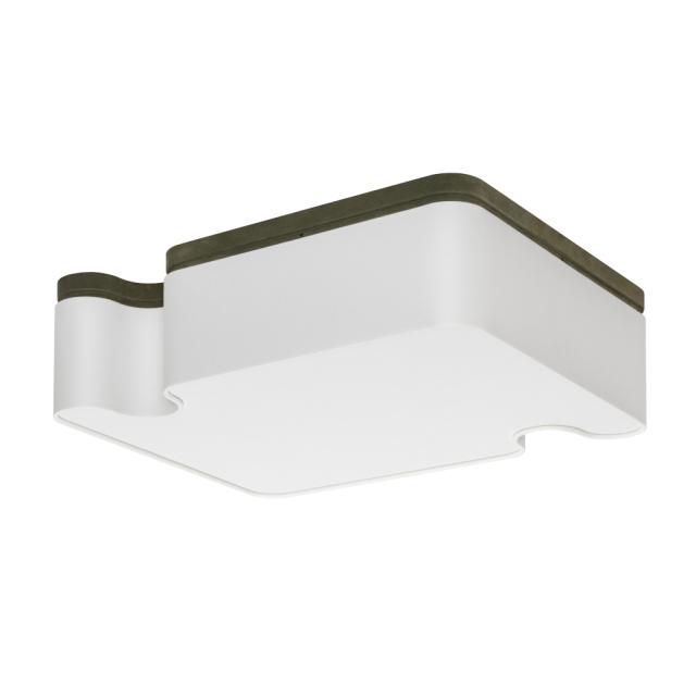 CEALINGG LAMP - OSSICLE